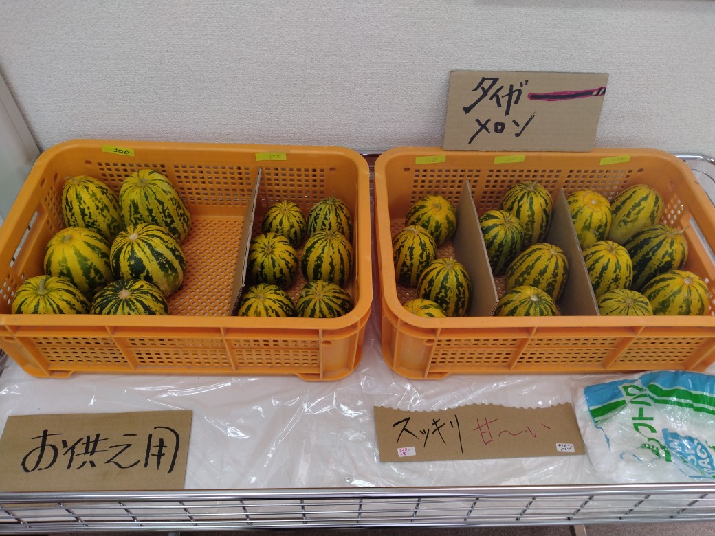 タイガーメロン販売開始
次回入荷は未定