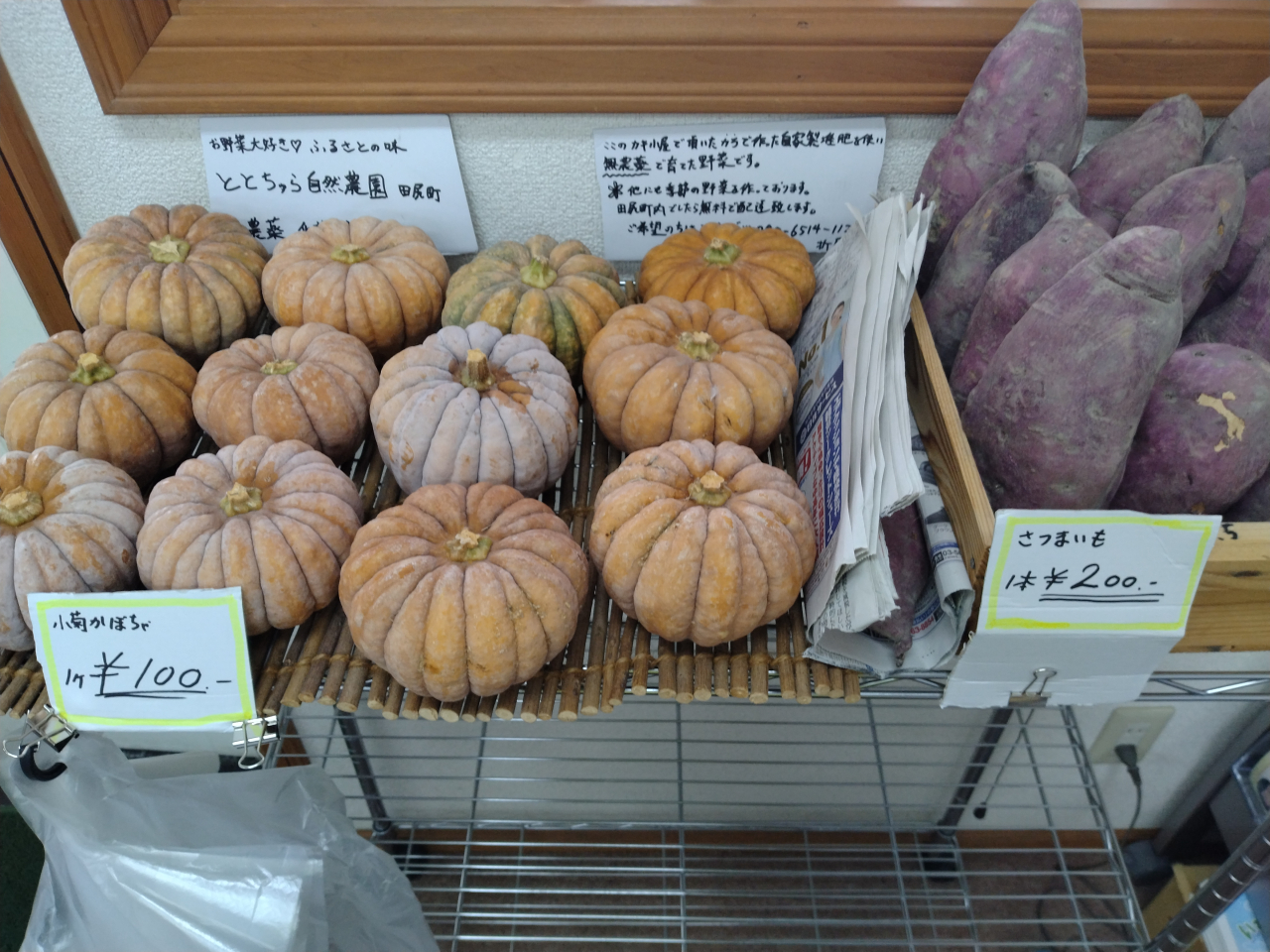 田尻漁港の牡蠣殻で育てた野菜です!